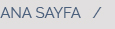 Ana Sayfa